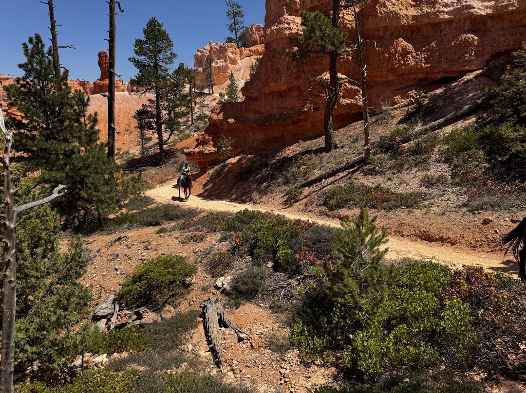 Red Canyon Trail Rides-布莱斯峡谷国家公园必去景点