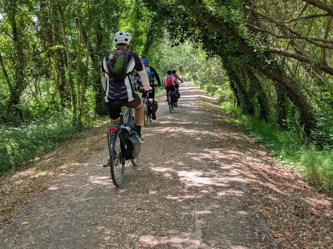 Authentic Trails-波尔图必去景点