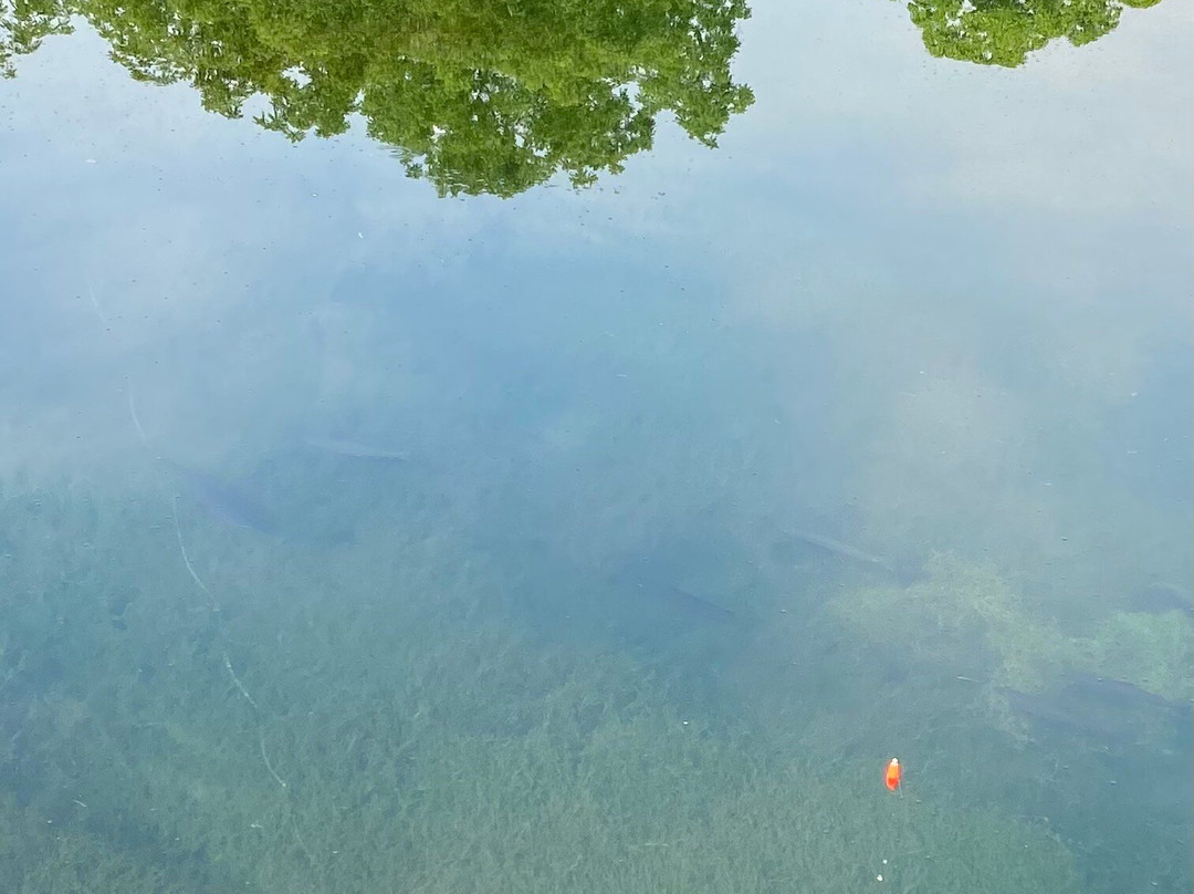Children's Lake-Boiling Springs必去景点