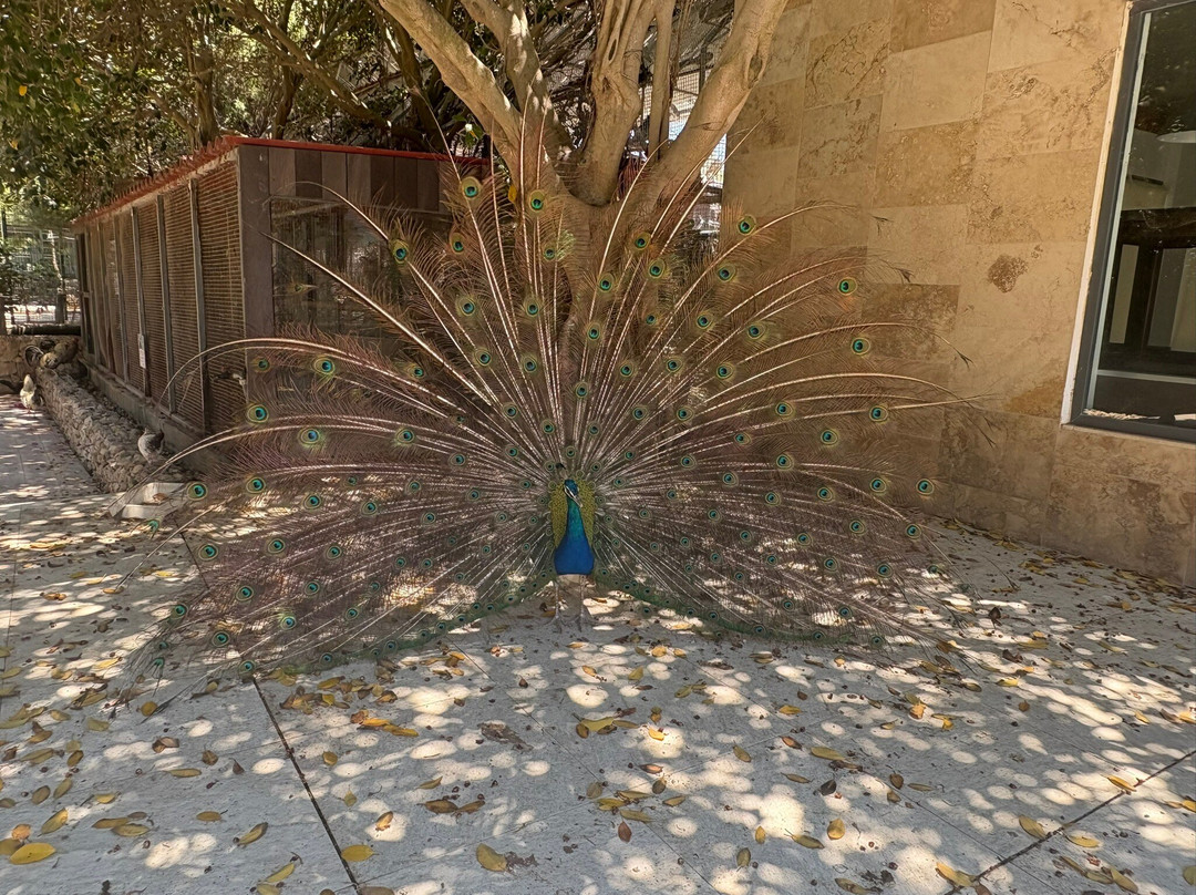 Birdpark Malta-Salina必去景点