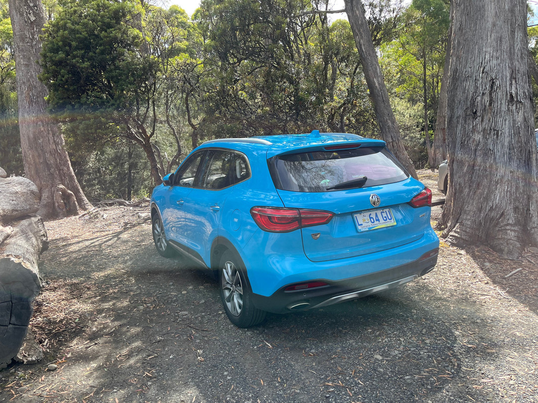 Lake St. Clair-摇篮山圣克莱尔湖国家公园必去景点