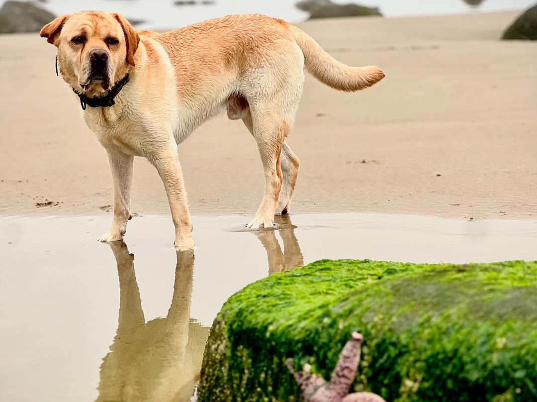 Oceanside Beach State Recreation Site-Oceanside必去景点
