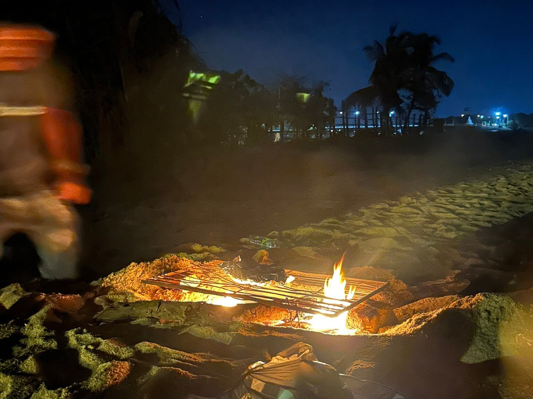 Star Rest Surf Camp主图