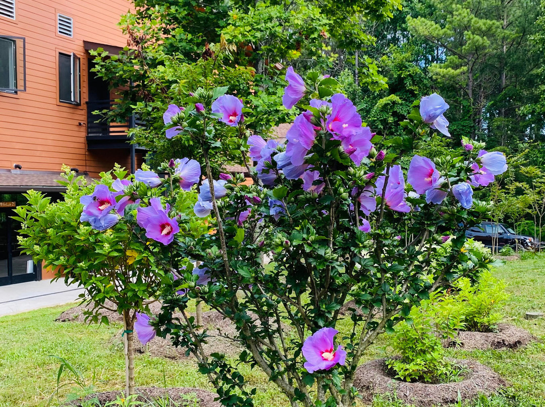 Isha USA-McMinnville必去景点