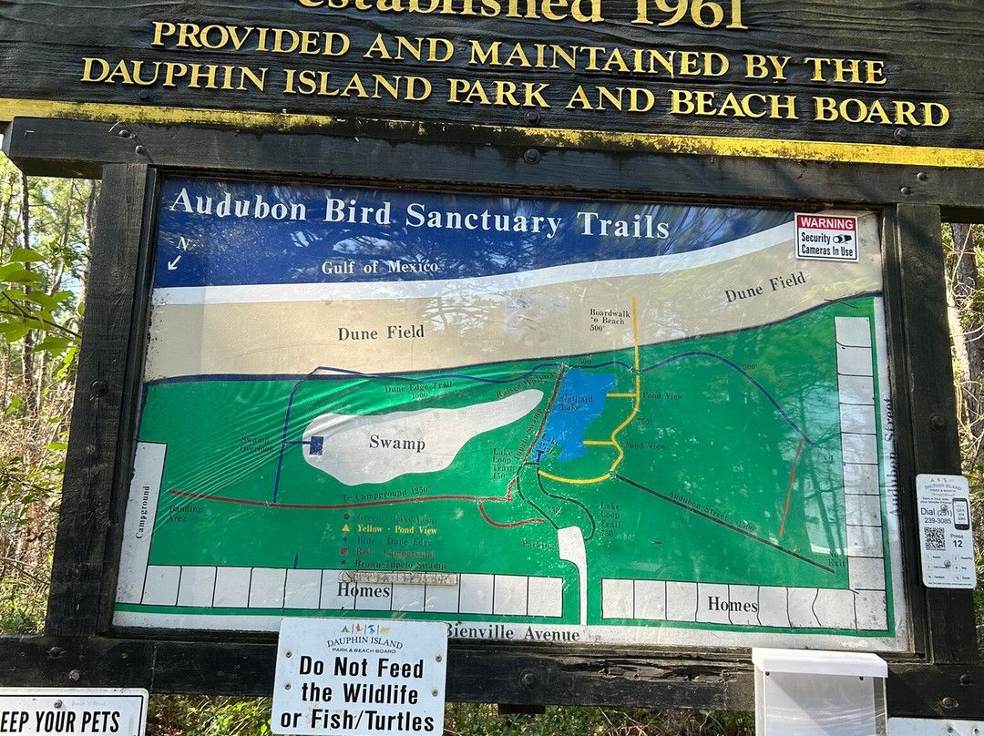 Dauphin Island Audubon Bird Sanctuary-Dauphin Island必去景点