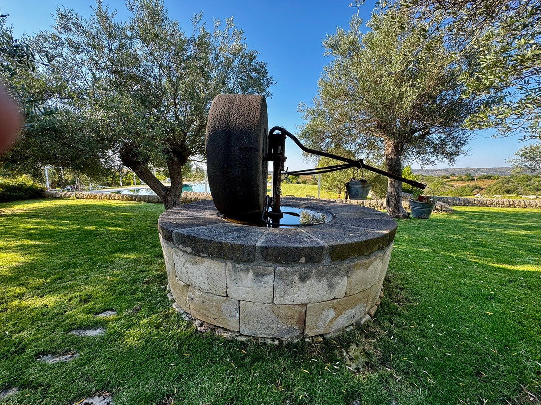 Agriturismo La Mela di Venere主图