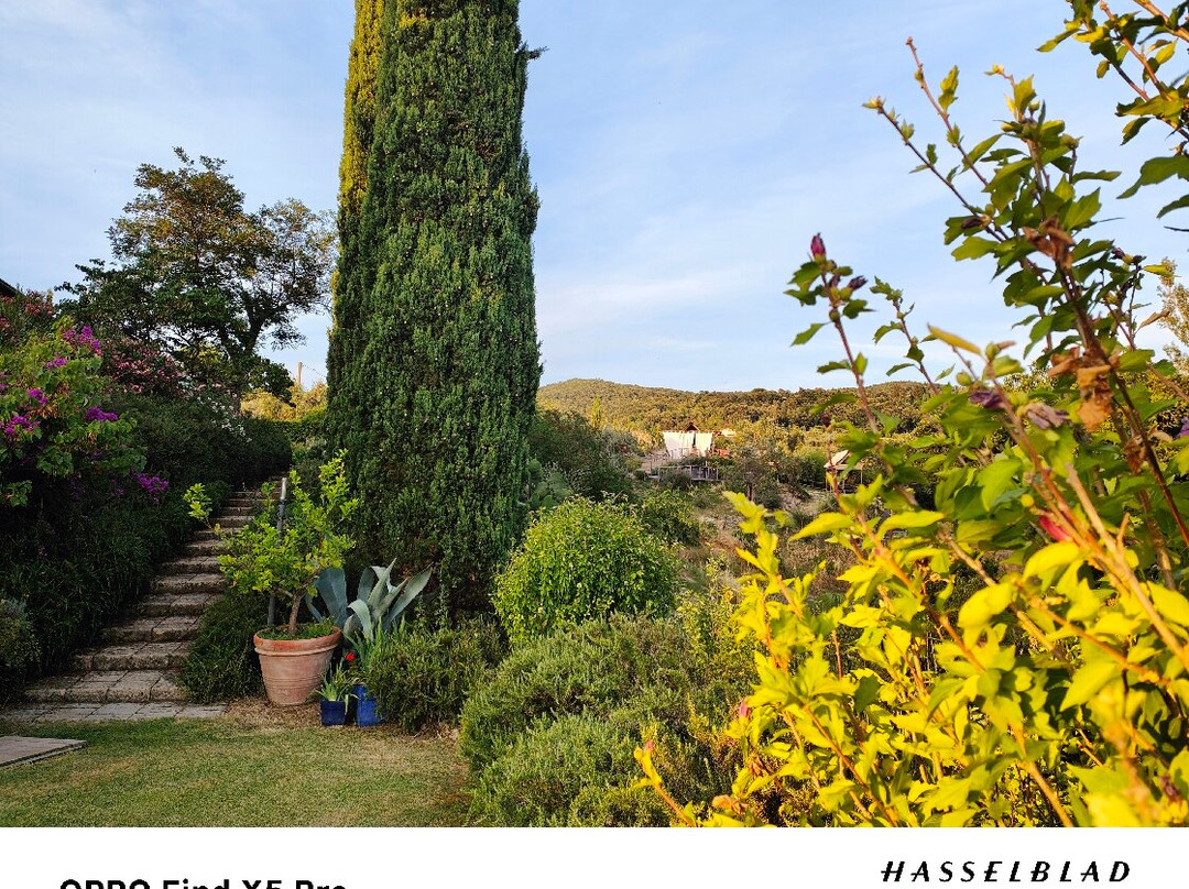 Agriturismo Podere Il Fornacino主图