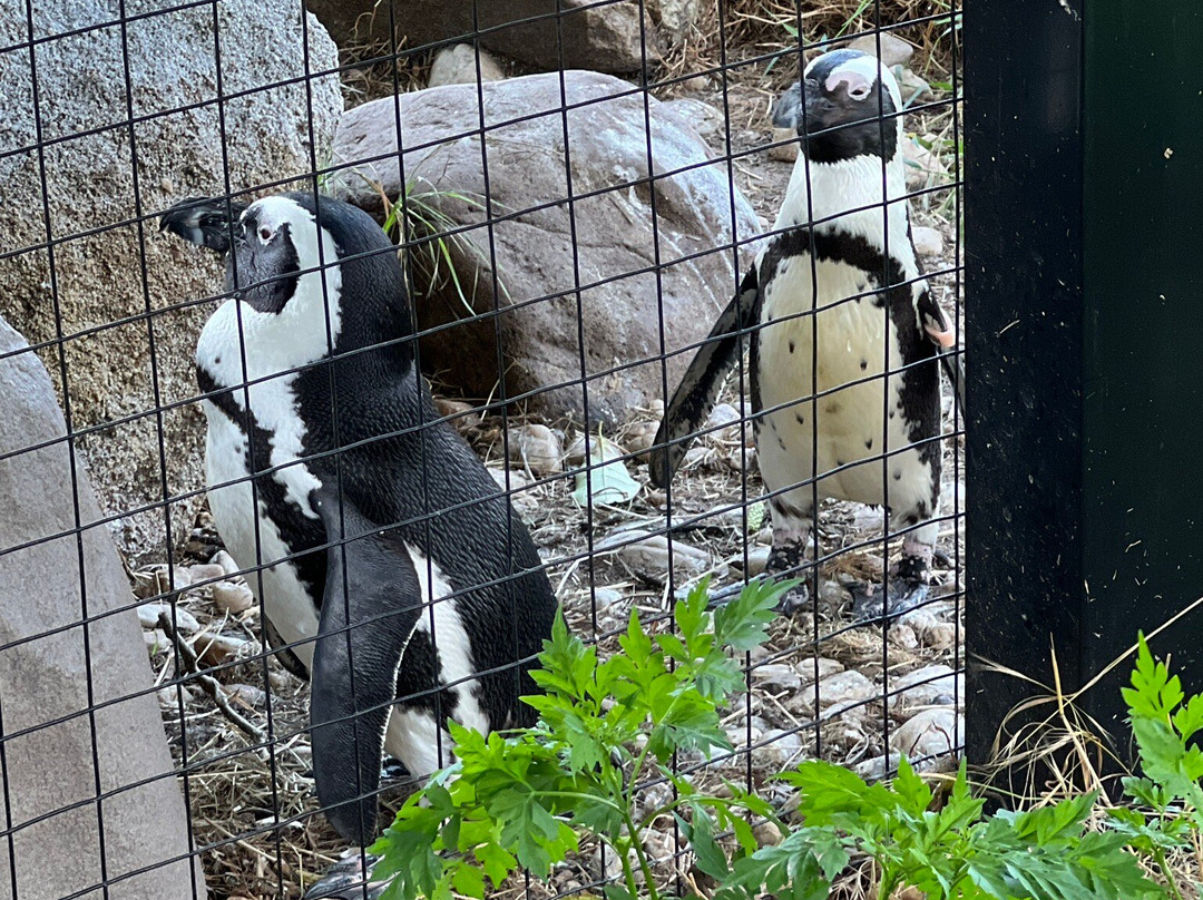 Lehigh Valley Zoo-Schnecksville必去景点