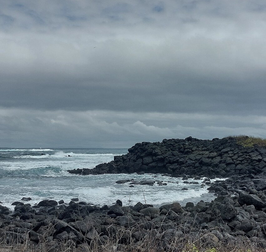 Playa de los Perros-阿约拉港必去景点