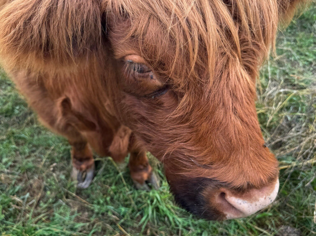 The Farm-斯特金贝必去景点