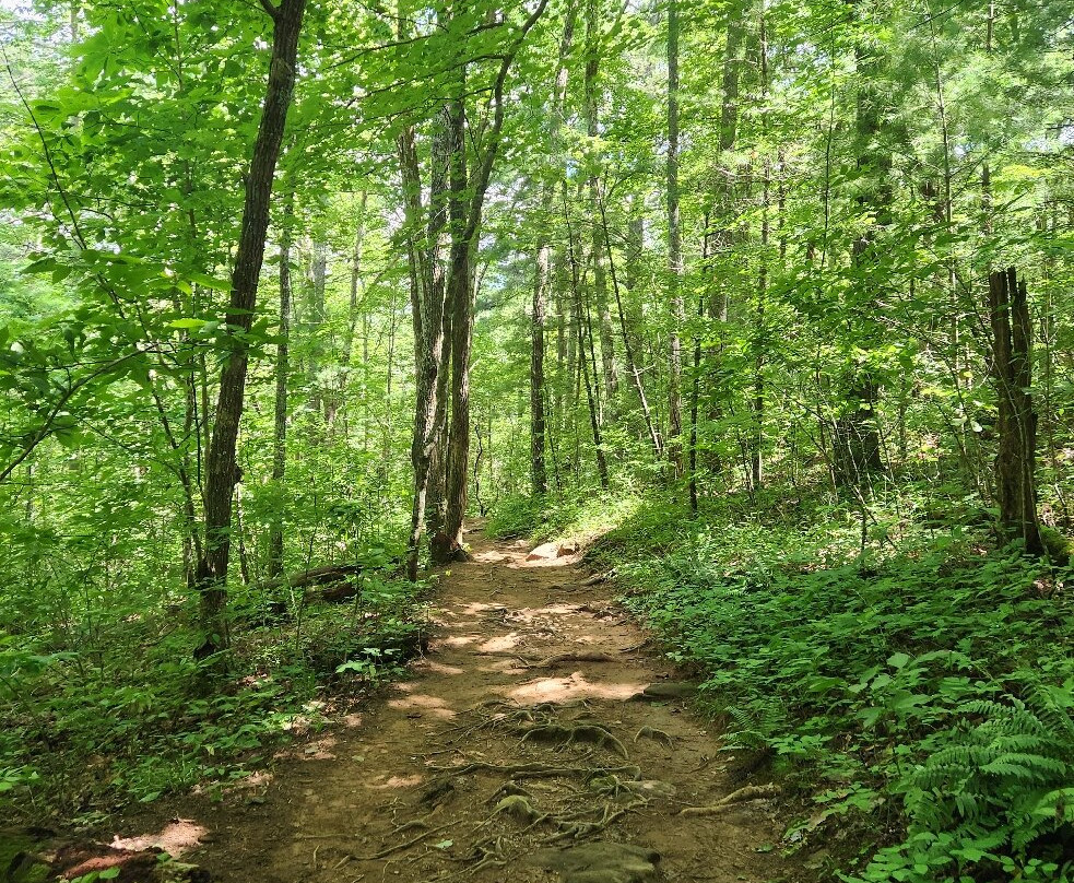 High Shoals Falls Trail-Hiawassee必去景点