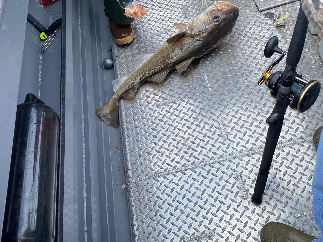 Baranof Fishing Excursions-凯奇坎必去景点