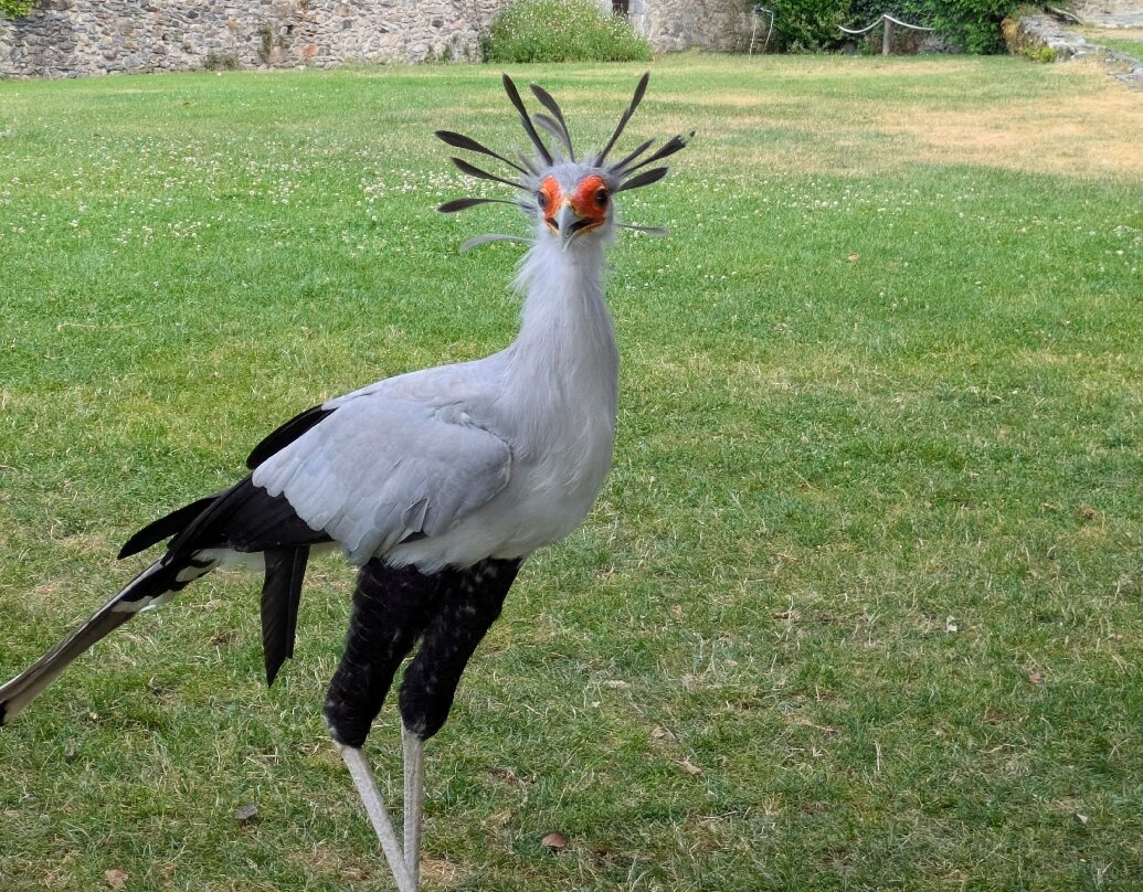 Dungeon of Eagles-Beaucens必去景点