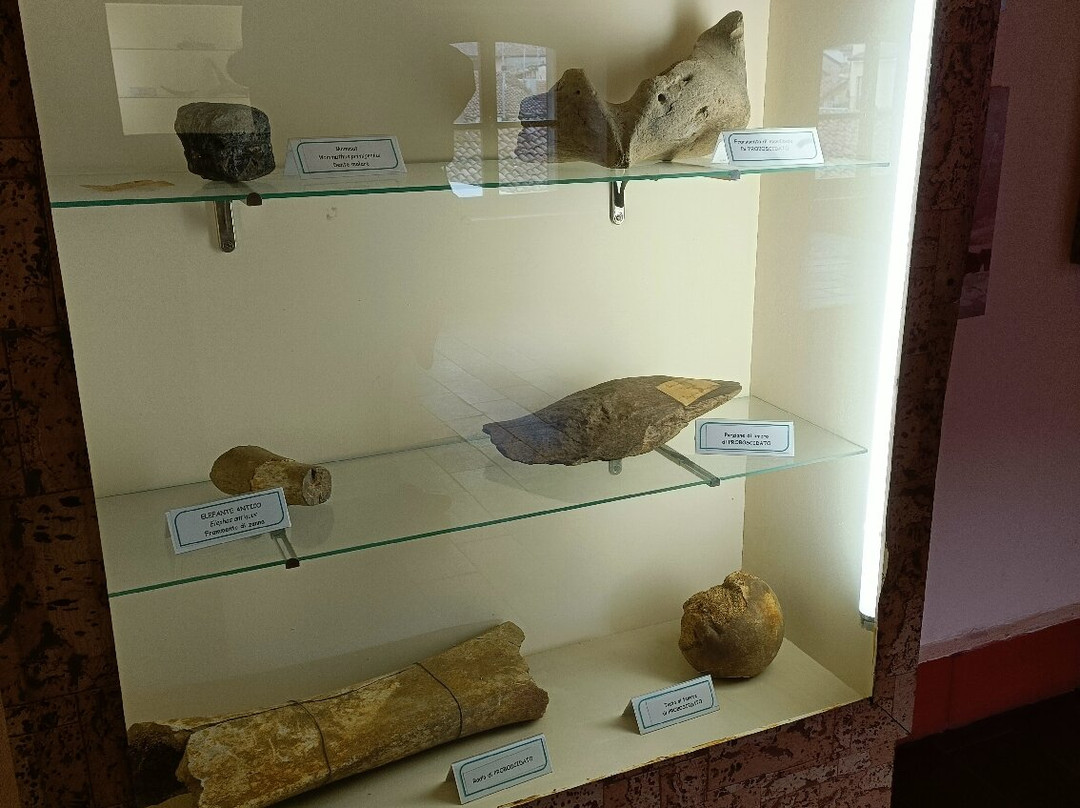 Museo Paleontologico E Archeologico Virginio Caccia-San Colombano al Lambro必去景点