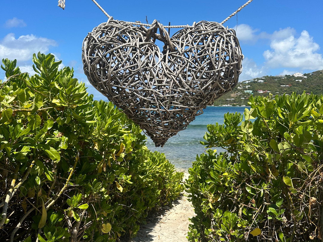 The Aerial, BVI主图