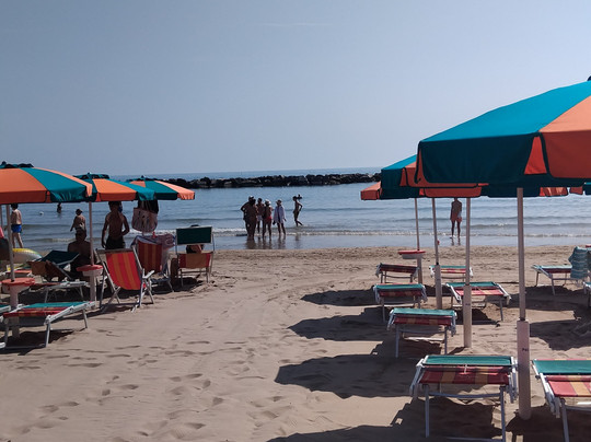 Hotel President主图