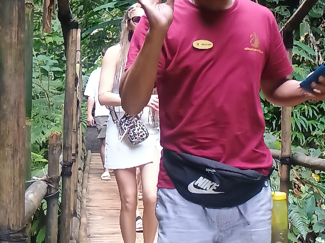 Aswanaya Villas Ubud主图