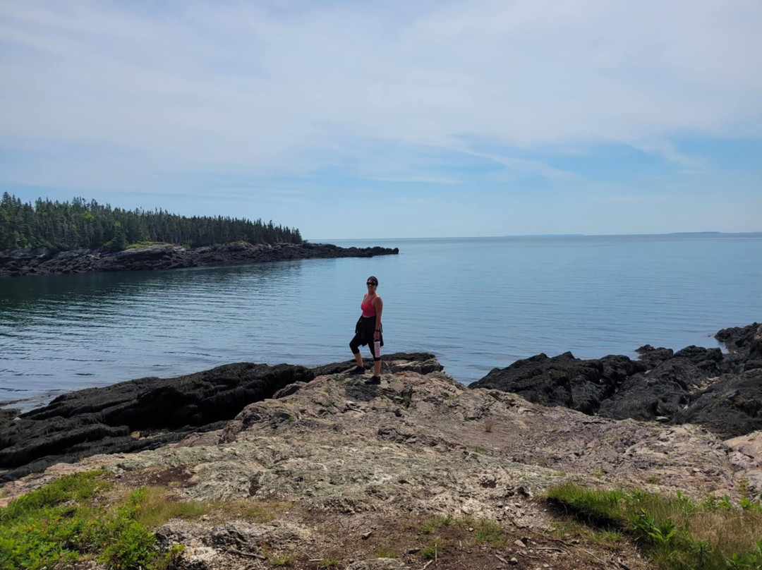 New River Beach Provincial Park-New River Beach必去景点
