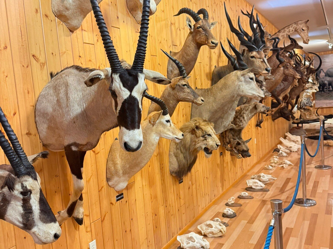 B-Square Ranch-法明顿必去景点