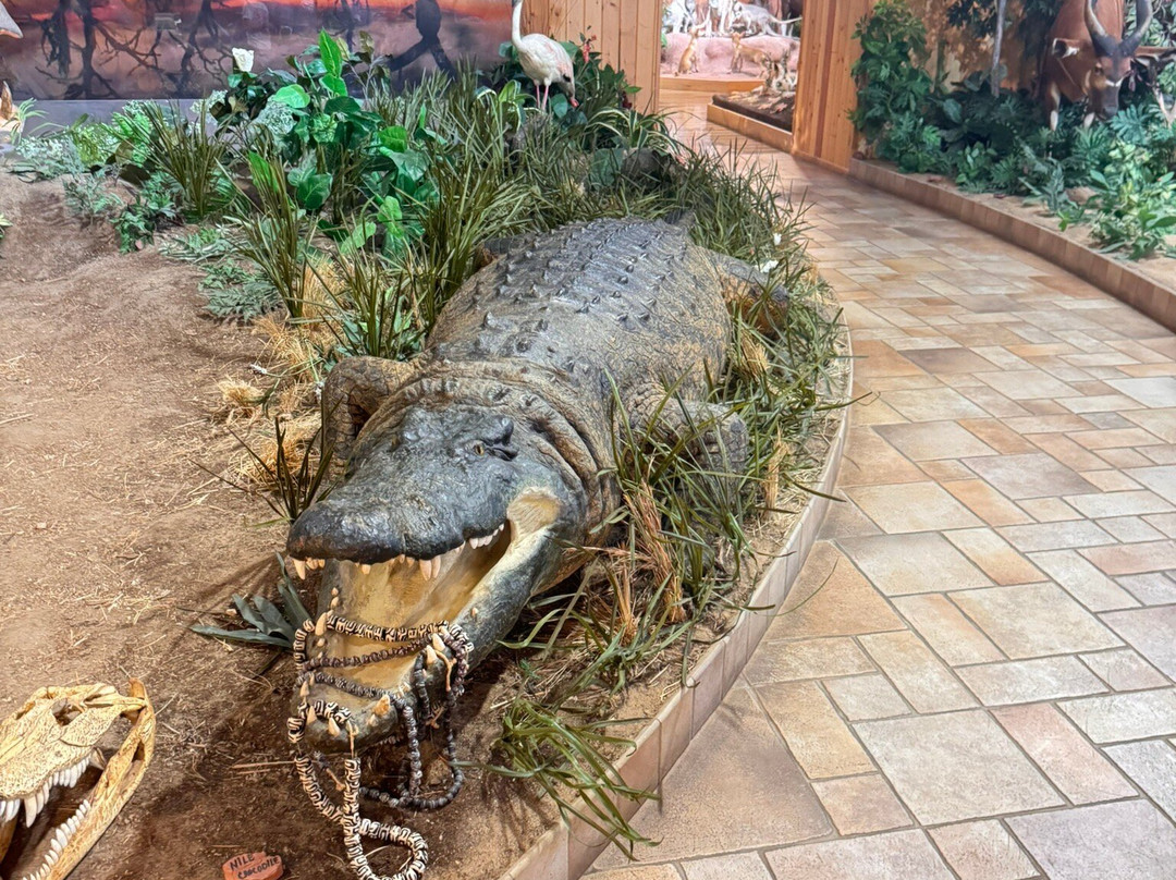 B-Square Ranch-法明顿必去景点