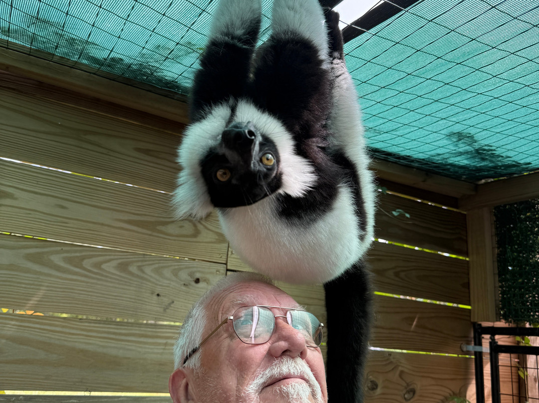 North Florida Wildlife Center-Lamont必去景点