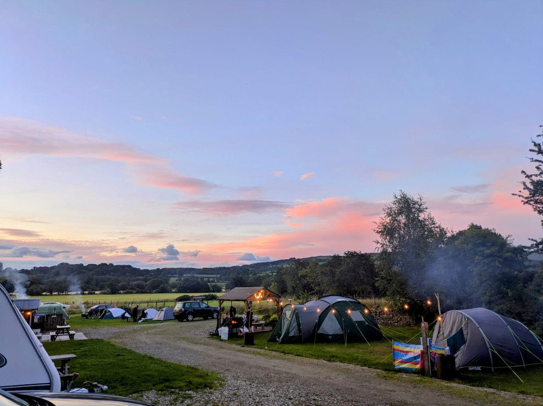 The Meadows Camping Field
