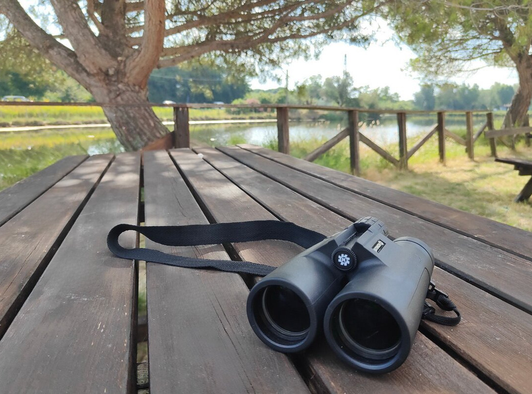 Salina di Cervia-切尔维亚必去景点