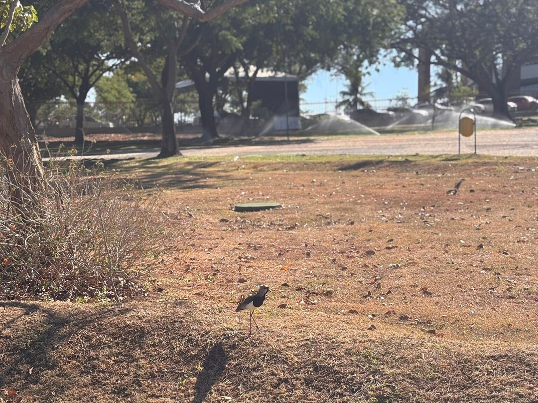 Araguaia Palace-Palmas必去景点