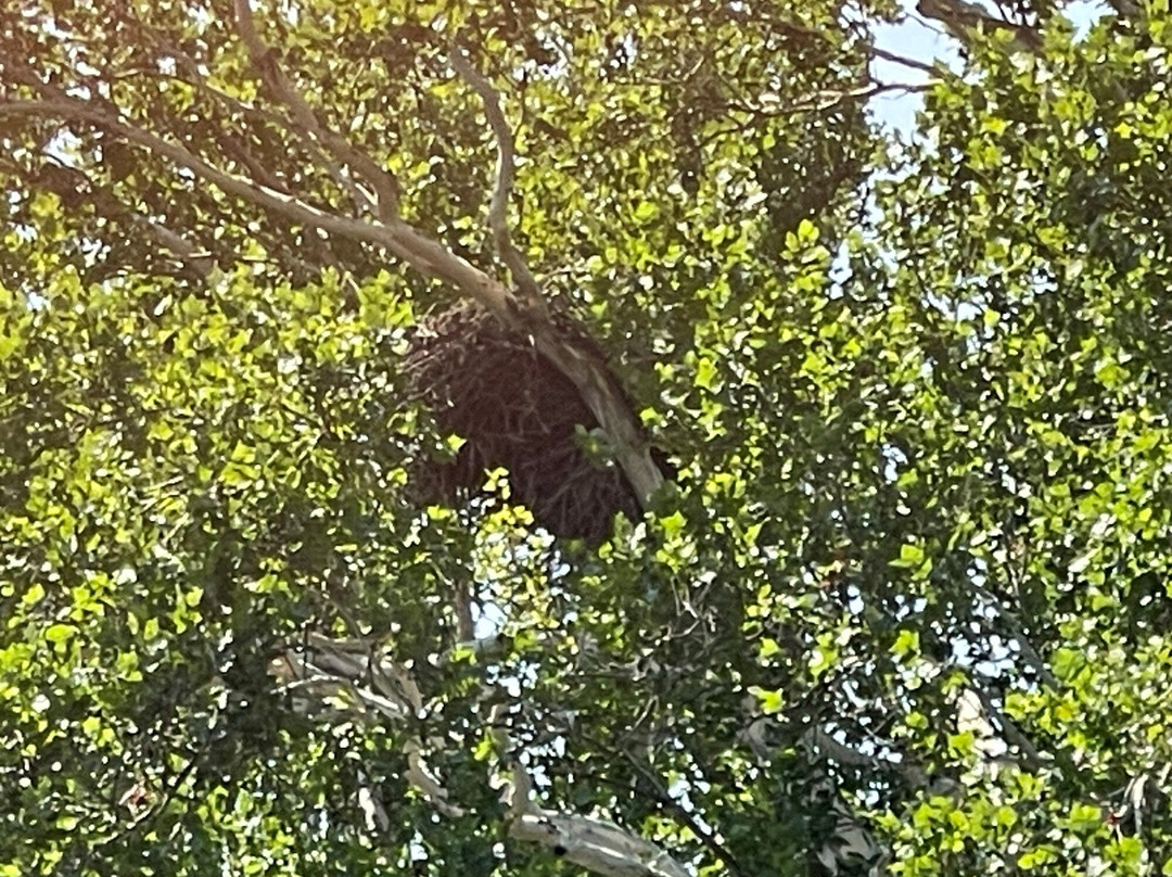 Chamberlain Canoes-Shawnee on Delaware必去景点