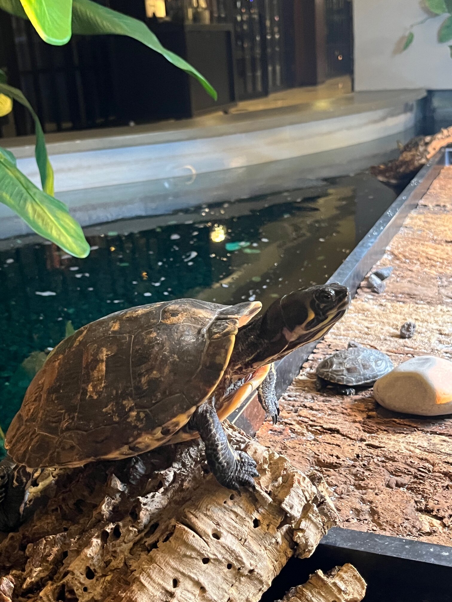 凡德瓦克酒店-浴室