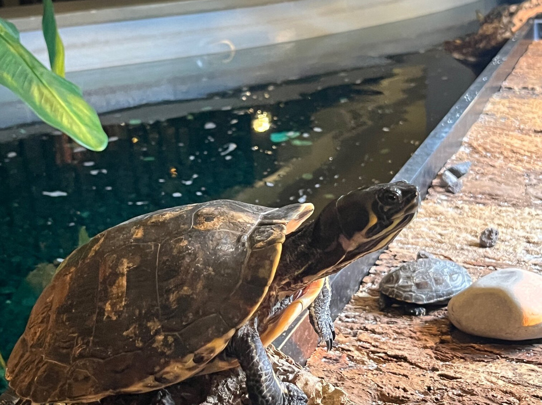 凡德瓦克酒店主图