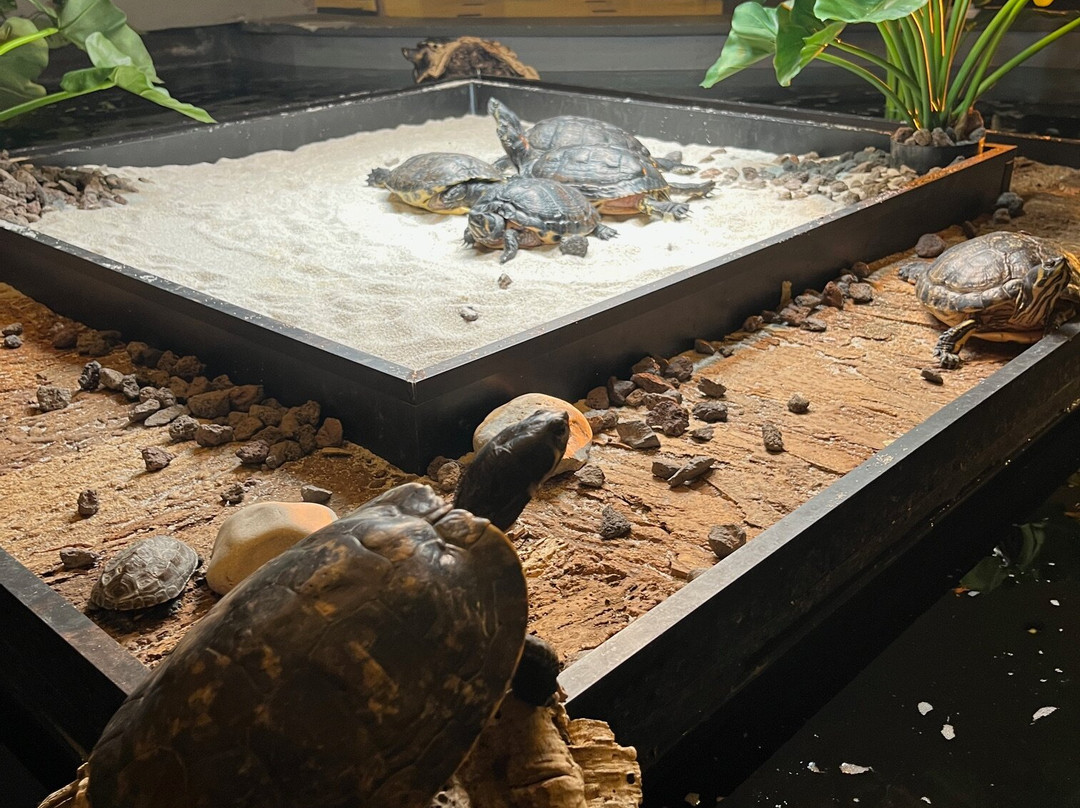 凡德瓦克酒店主图