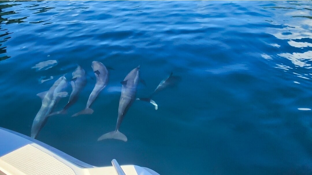 Moorea Parasailing-莫雷阿岛必去景点