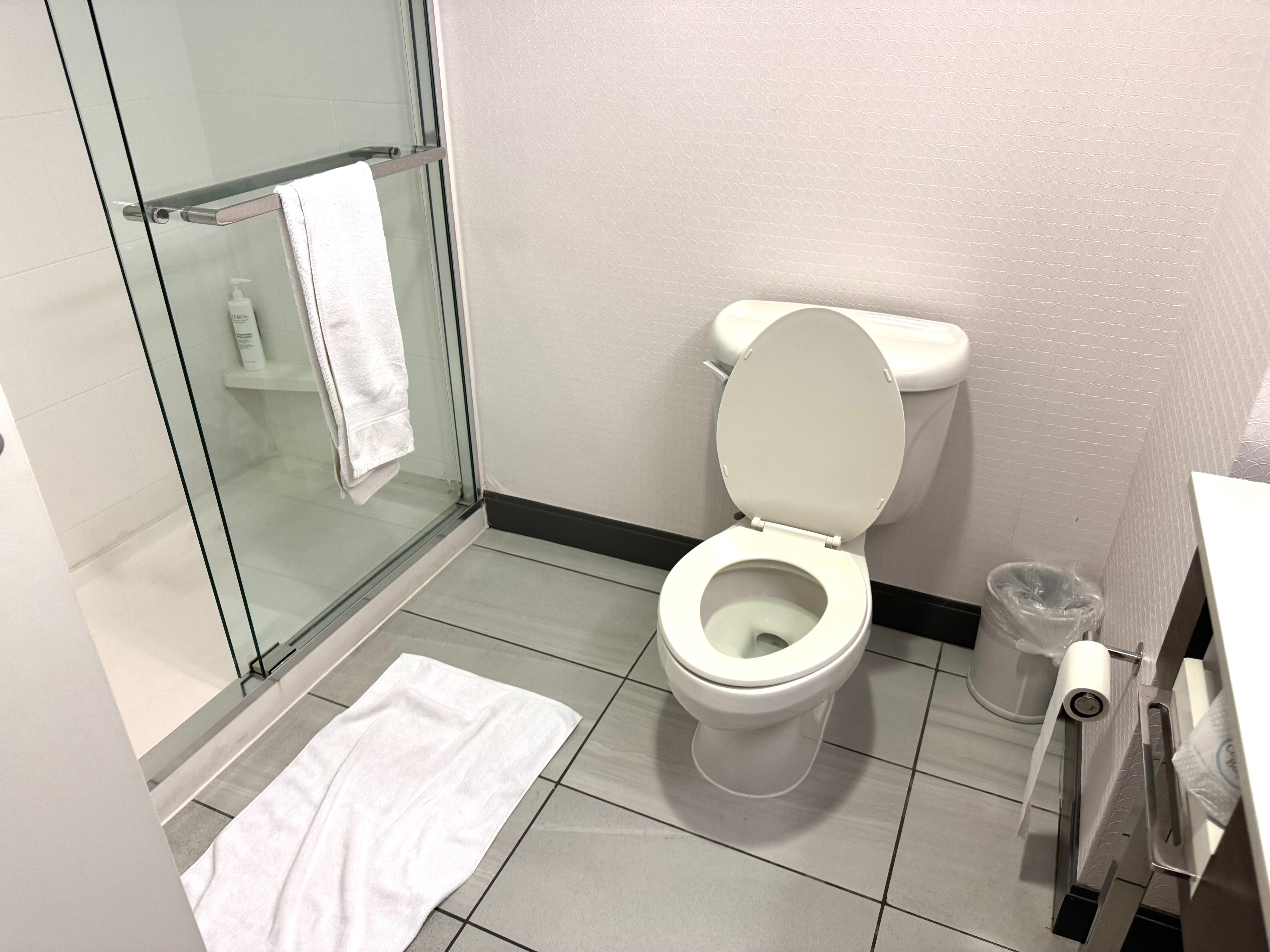 纽瓦克哈里森河滨希尔顿恒庭旅馆&套房酒店-浴室