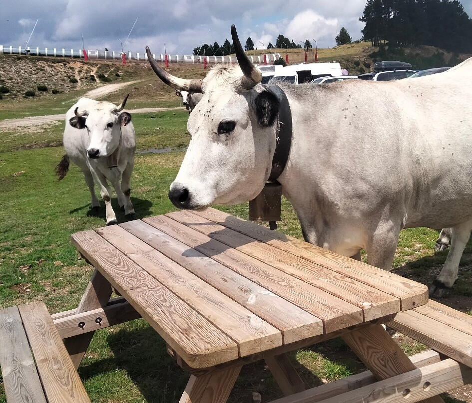 Plateau de Beille-Albies必去景点