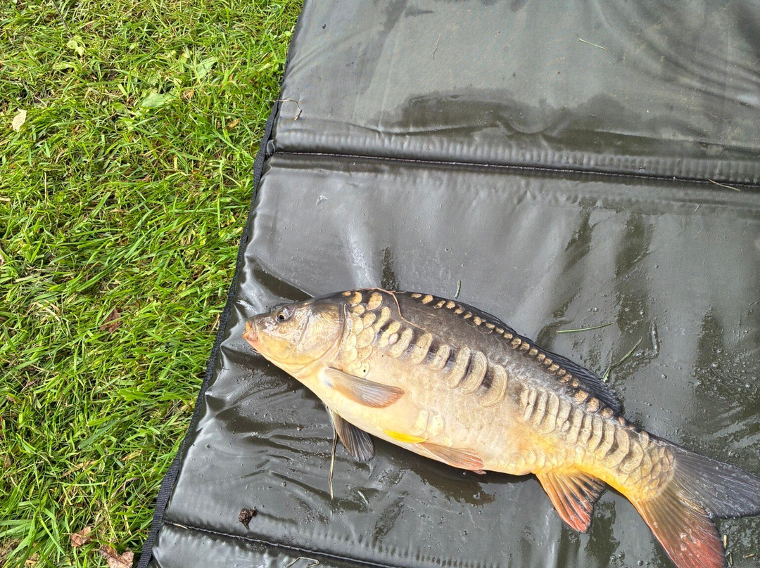 Asfordby Carp Pools & Storage-梅尔顿莫布雷必去景点