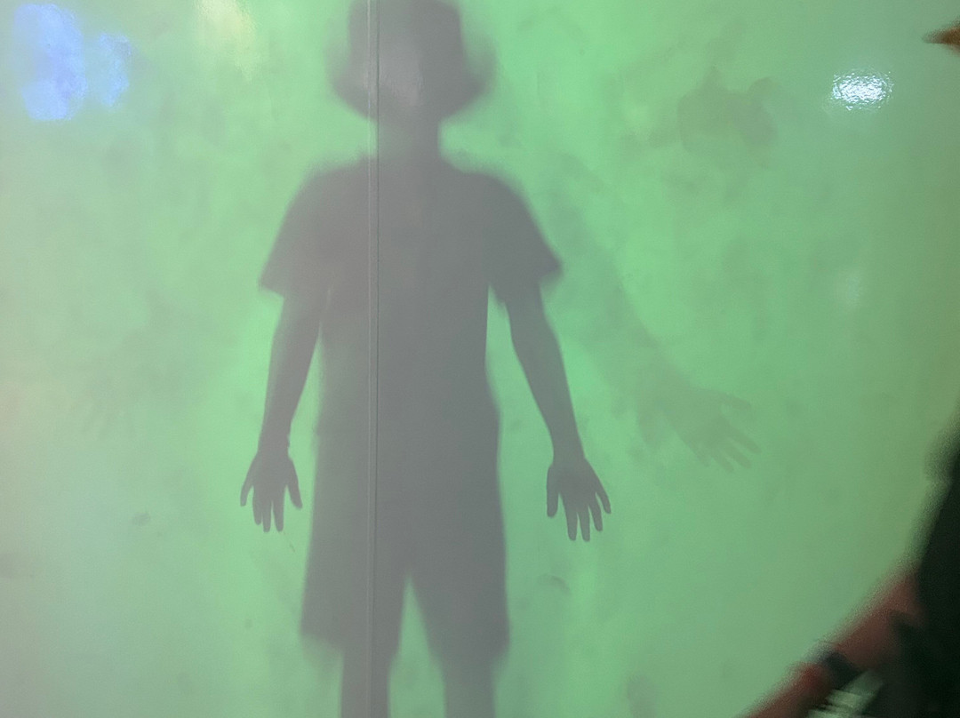 Museum of Illusions Alicante