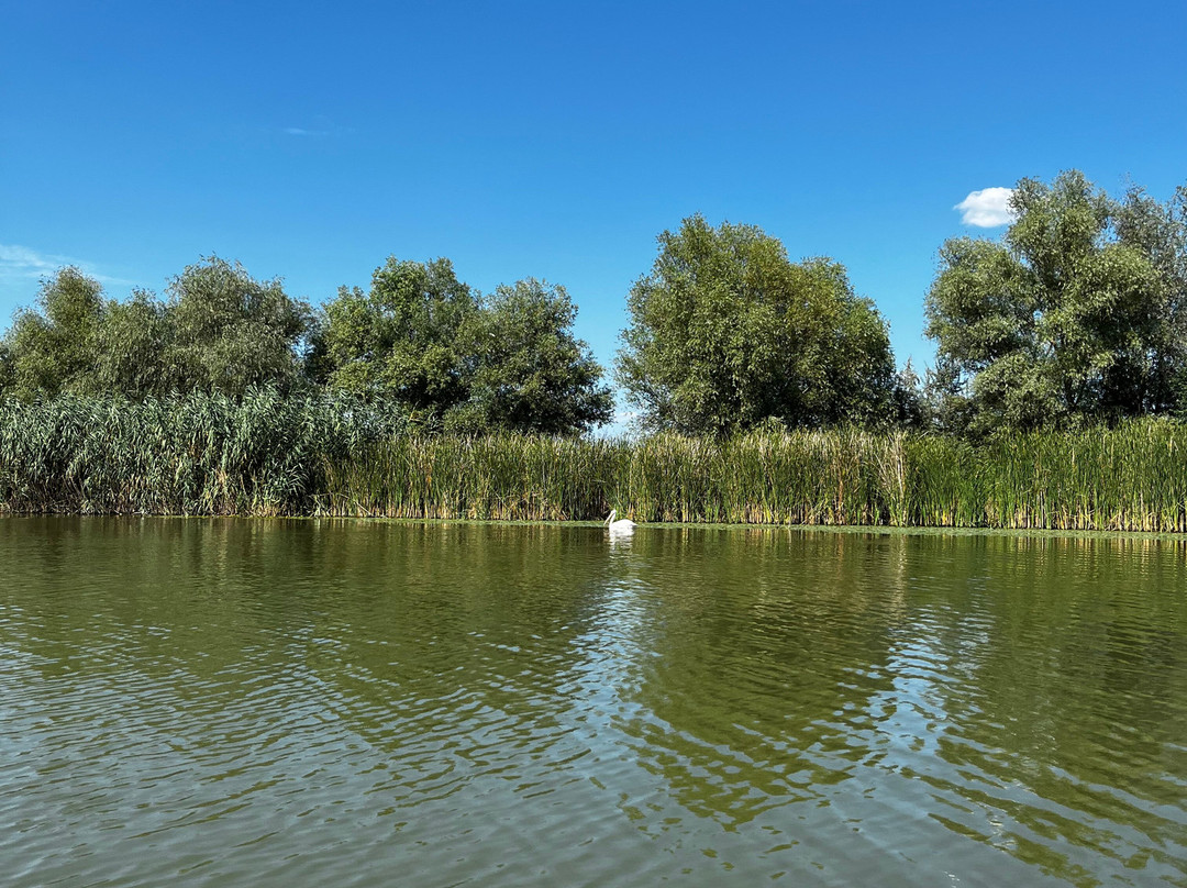 Tours in Delta with John-Crisan必去景点