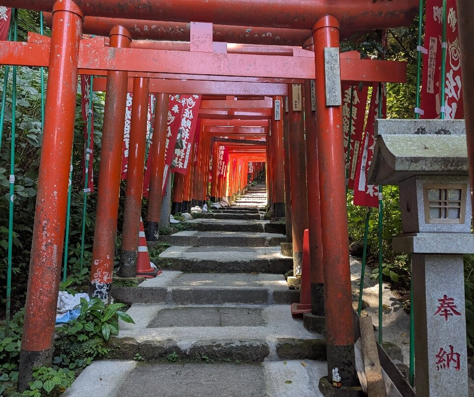 Sasuke Inari Shrine-镰仓市必去景点