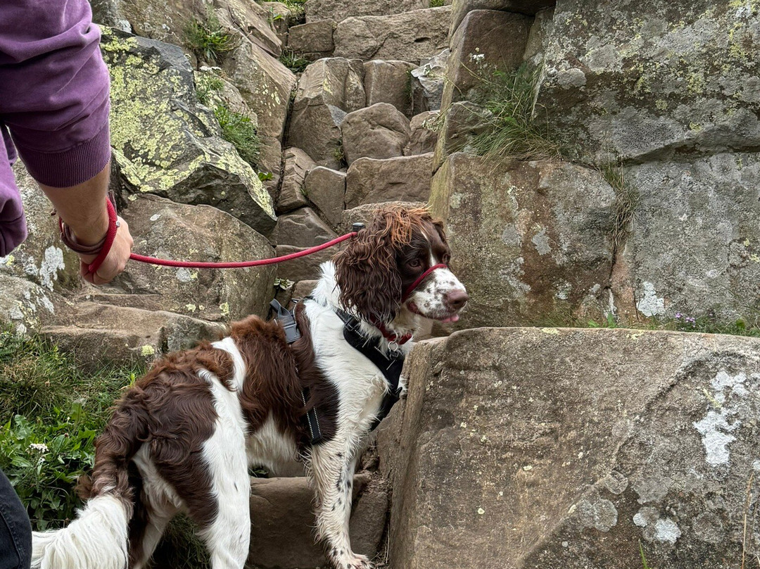 Steel Rigg-Henshaw必去景点