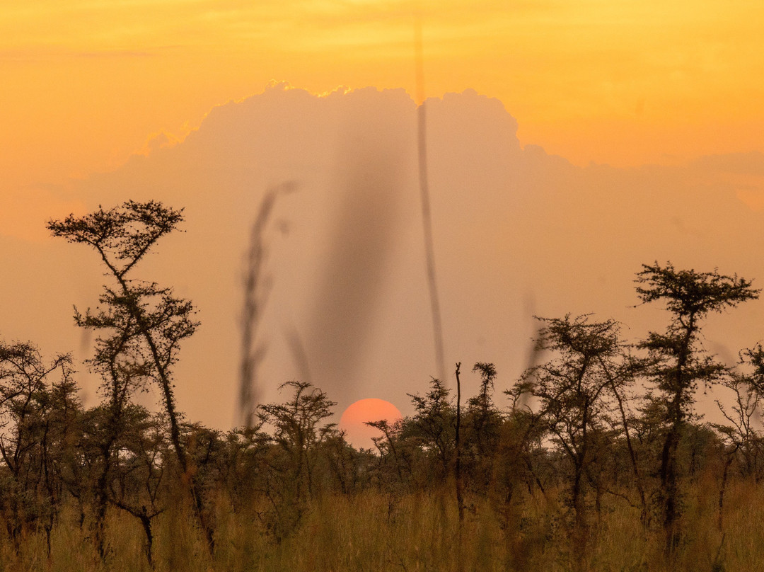 Mt. Elgon National Park-Eastern Region必去景点