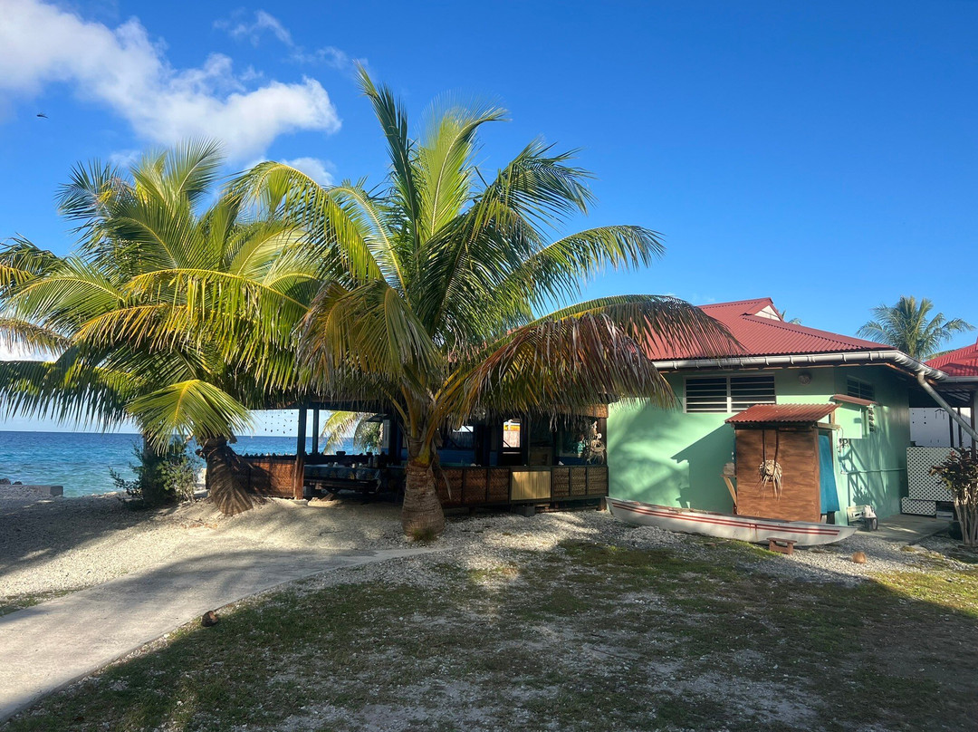 Pension Tapuheitini主图