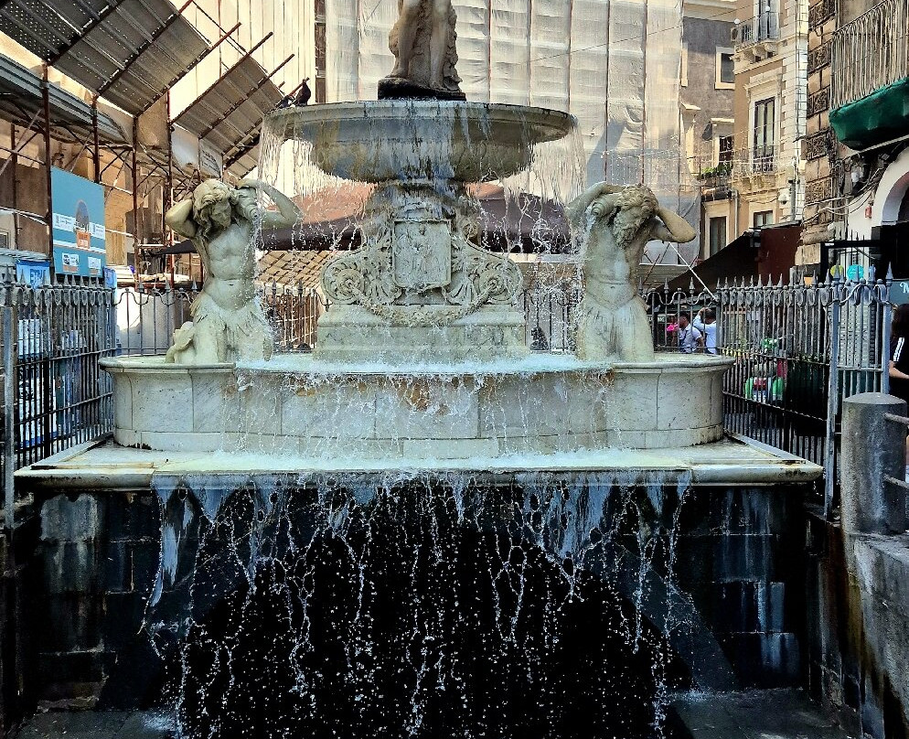 Fontana dell'Amenano-卡塔尼亚必去景点