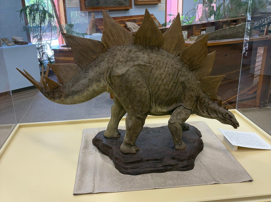 The Dinosaur Museum-布兰丁必去景点