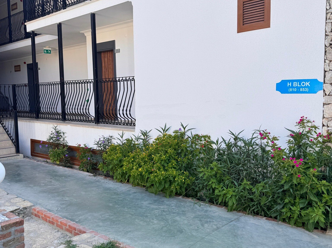 Telmessos Neva Hotel主图