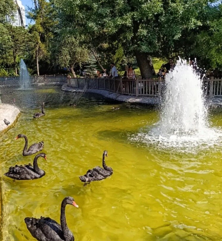 Kuğulu Park-安卡拉必去景点