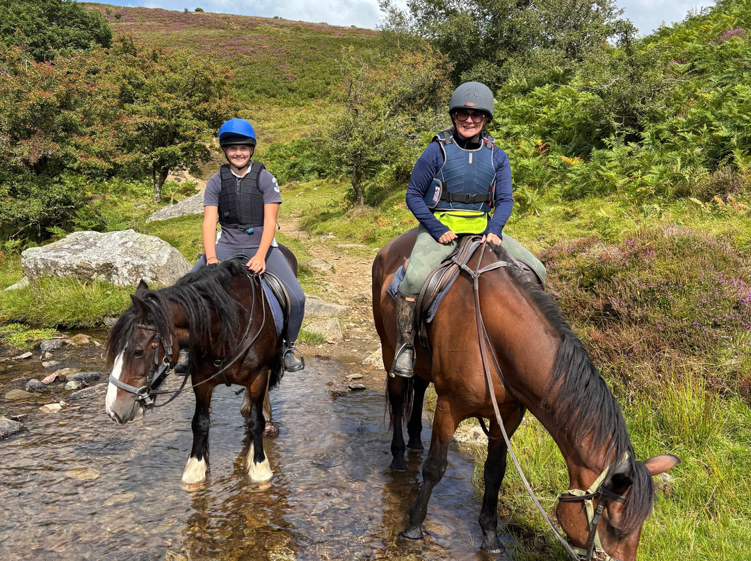 Brendon Manor Stables-林顿必去景点