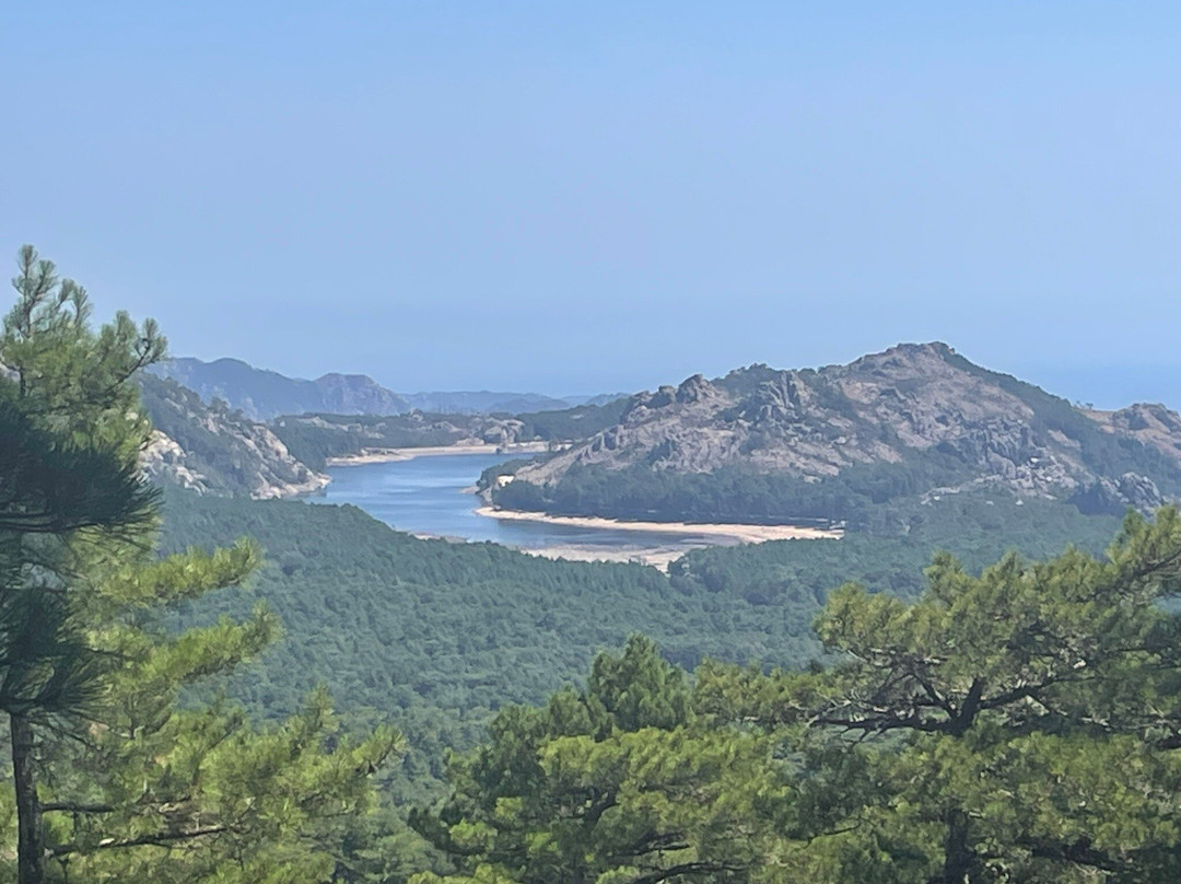 Foret de l'Ospedale-维琪奥港必去景点