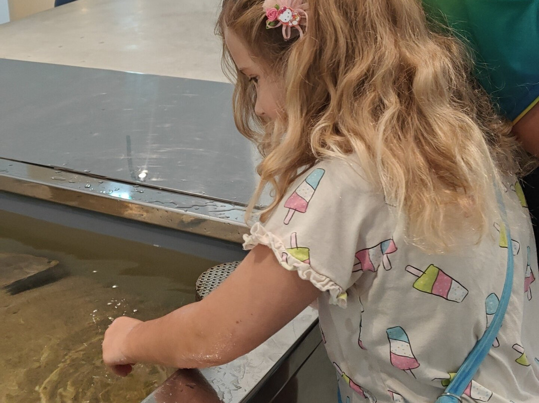 Vadehavscentret-里伯必去景点