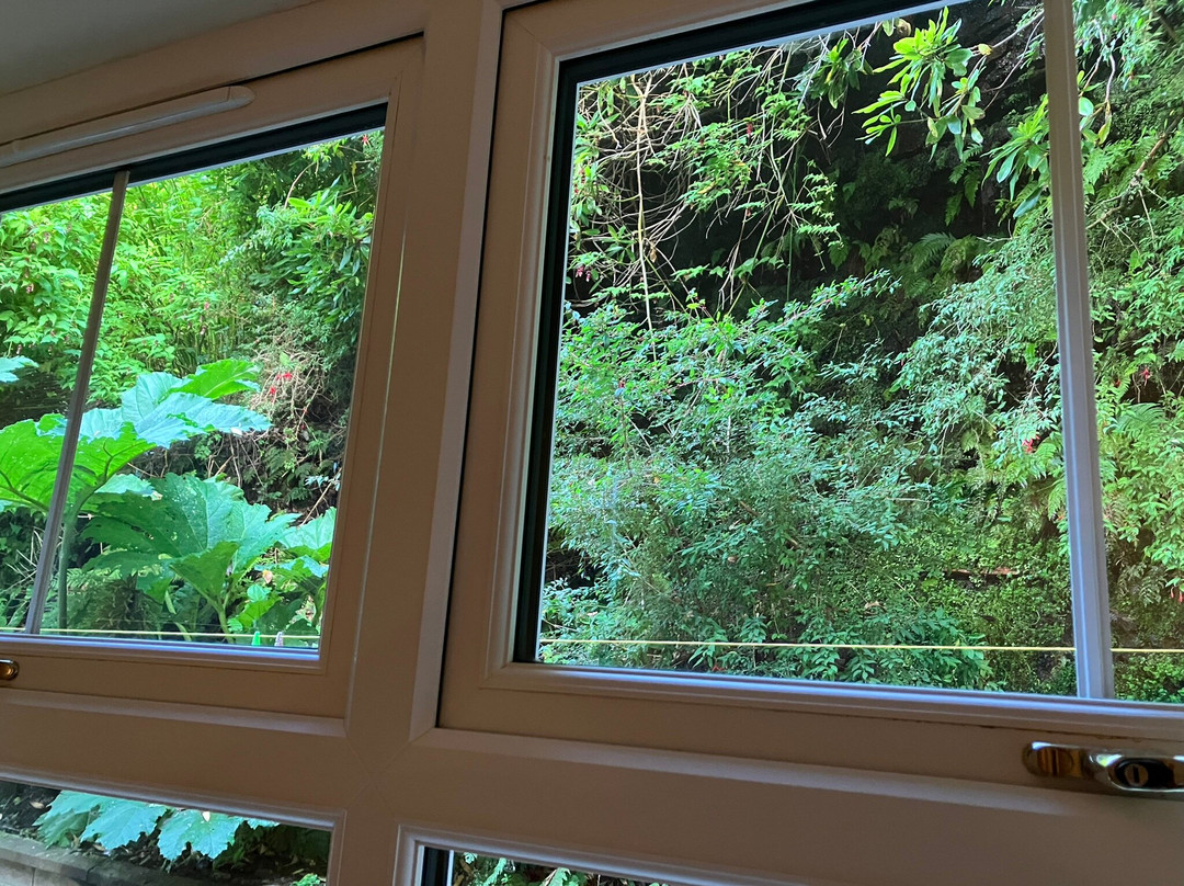 Stonewater House Vegan Bed And Breakfast主图